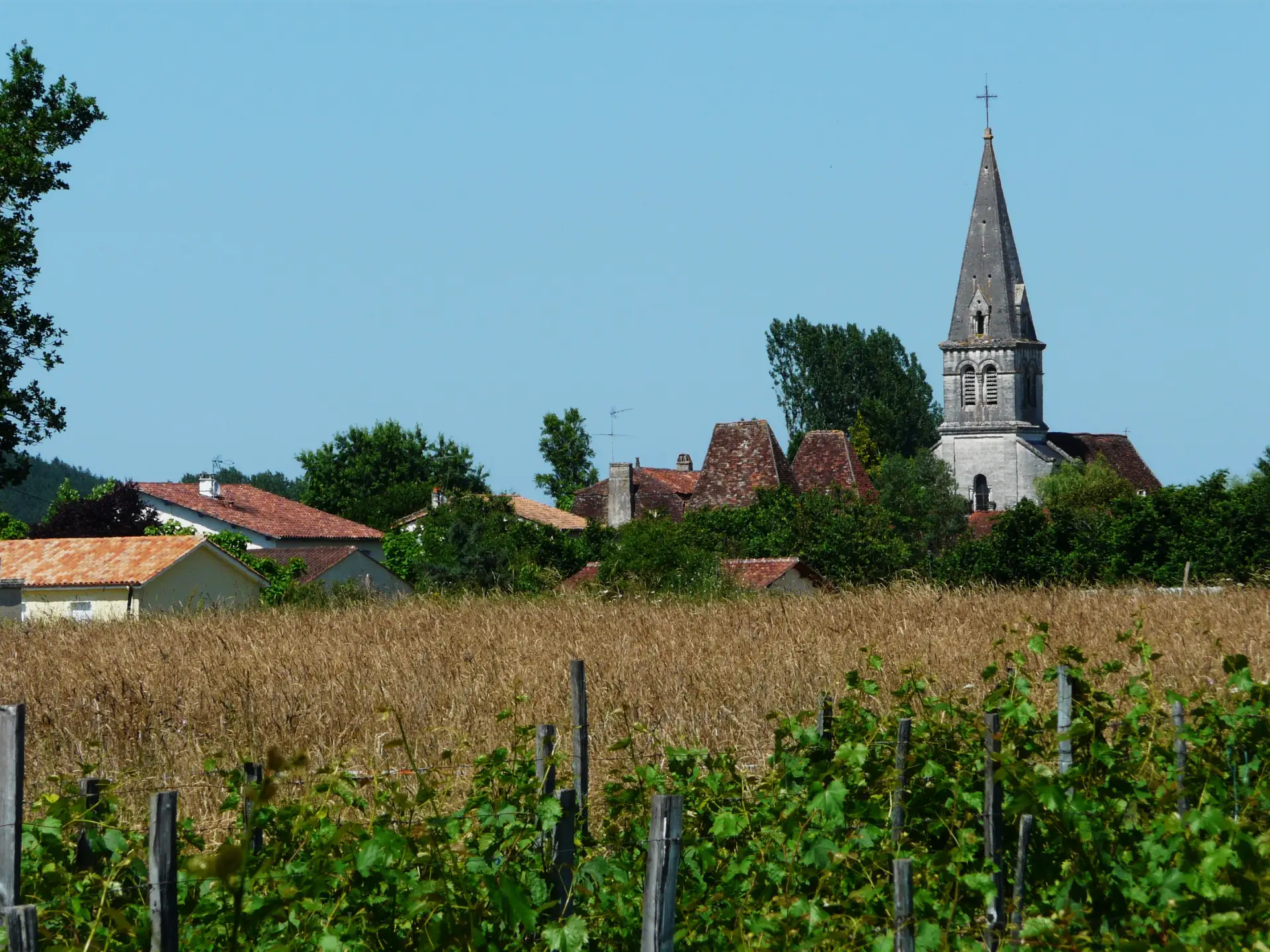 Église du village d'Antonne-et-Trigonant vue à travers les champs